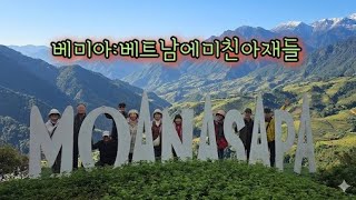 #베미아 #하노이사파