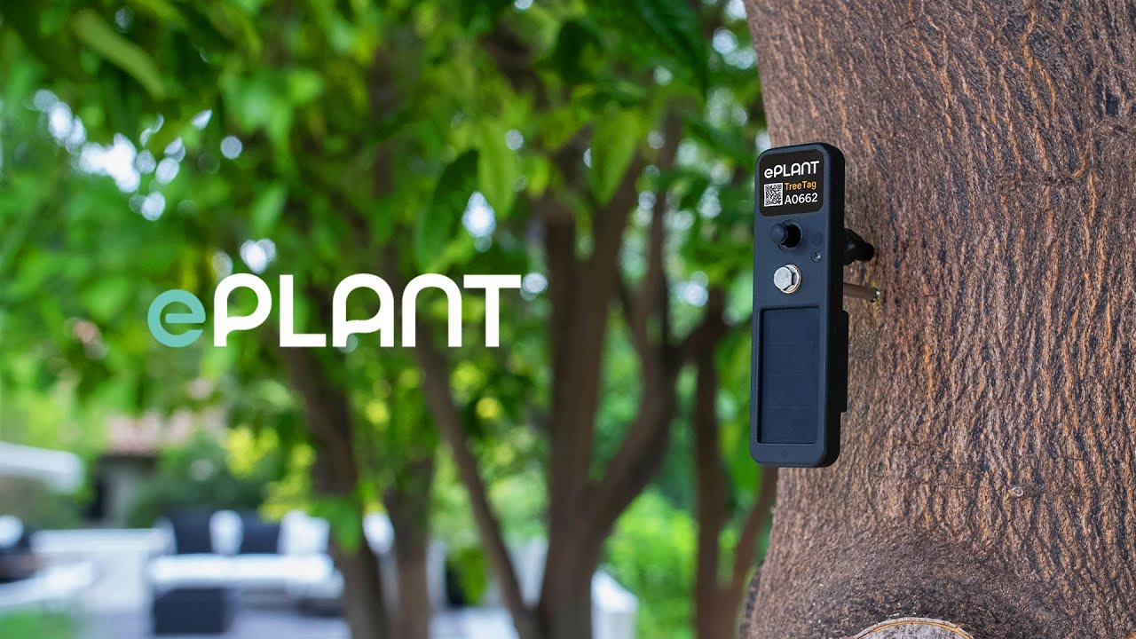 Introducing the ePlant TreeTag