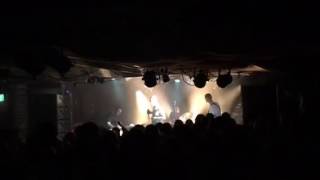 Bite Down by Gold Class at The Tote