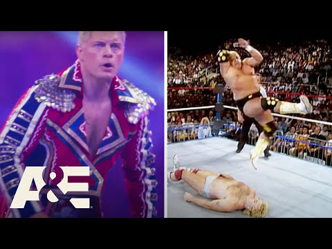 Viewership Records High Increases For 4/9 Episodes Of A&E Biography: WWE Legends And WWE Rivals