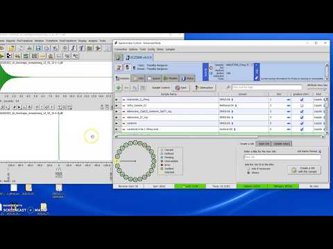 Loading shims from data files (Delta v5 onwards)