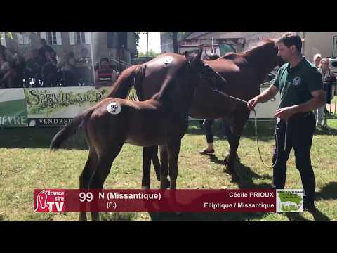 Sprinter Sacré Show 2018 : Lot 99 - N (Missantique)
