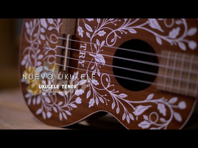 Vídeo relacionado con Kala Brand Music Co. Mandy Harvey Signature - Ukelele de concierto (KAMANDYC)