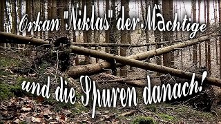 preview picture of video 'Orkan - Sturm Niklas der Mächtige...und die Spuren danach!'