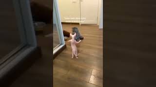 Download lagu STORY WA KEREN 30 DETIK   ||  STORY TERBARU  || DIMSTORY #storywa #fyp #shorts mp3