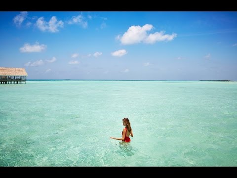 Hotel Video