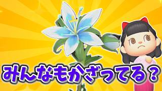 【あつ森】新家具ひめしずかをいっぱいかざろう【水禁止しばりプレイ島クリ】