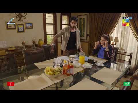 Mahir Ki Be Rozgari Ka Nikla Hal - Dobara