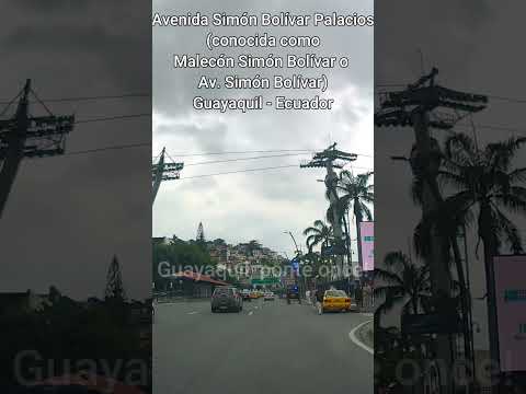 Guayaquil - Ecuador: Recorrido por el Malecón 2000, Avenida Simón Bolívar