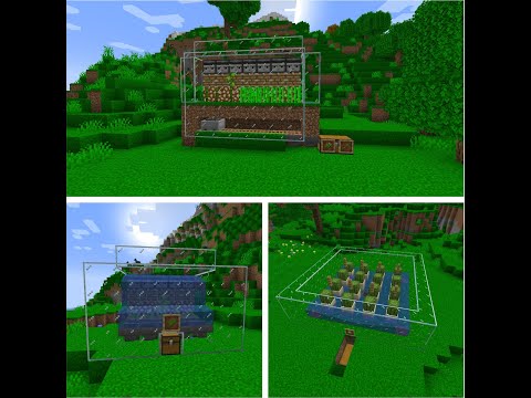 FARM DI CANNE DA ZUCCHERO/BAMBU', D'ALGHE E DI CACTUS - MINECRAFT ITA