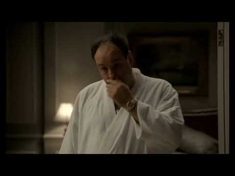 The Sopranos Season 5 Episode 11   The Test Dream   Was the Hooker Real Because That Bed Does Not Lo