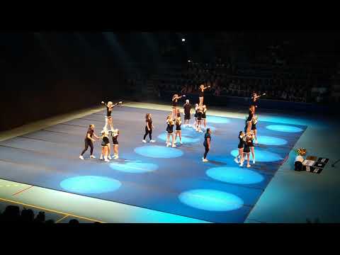 Wildstars DM Södra 2019 i Malmö