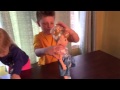 CINDERELLA Dolls Tea Set And Accessory Toys For Kids From JCPenney