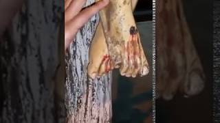 Miracle of Holy Water