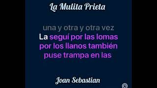La Mulita Prieta Karaoke Original HD 