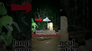 Download lagu APA INI YANG GERAK GERAK!! #kuburan #horror #misteri mp3