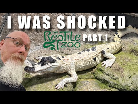 My visit to Prehistoric Pets the home of Jay Brewer and his Reptile Zoo