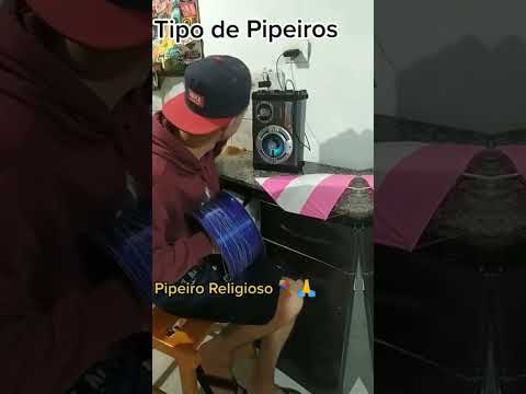 Algum Pipeiro online #shorts #short #pipacombate #pipa #shortshorts #shortsvideo #shortsyoutube