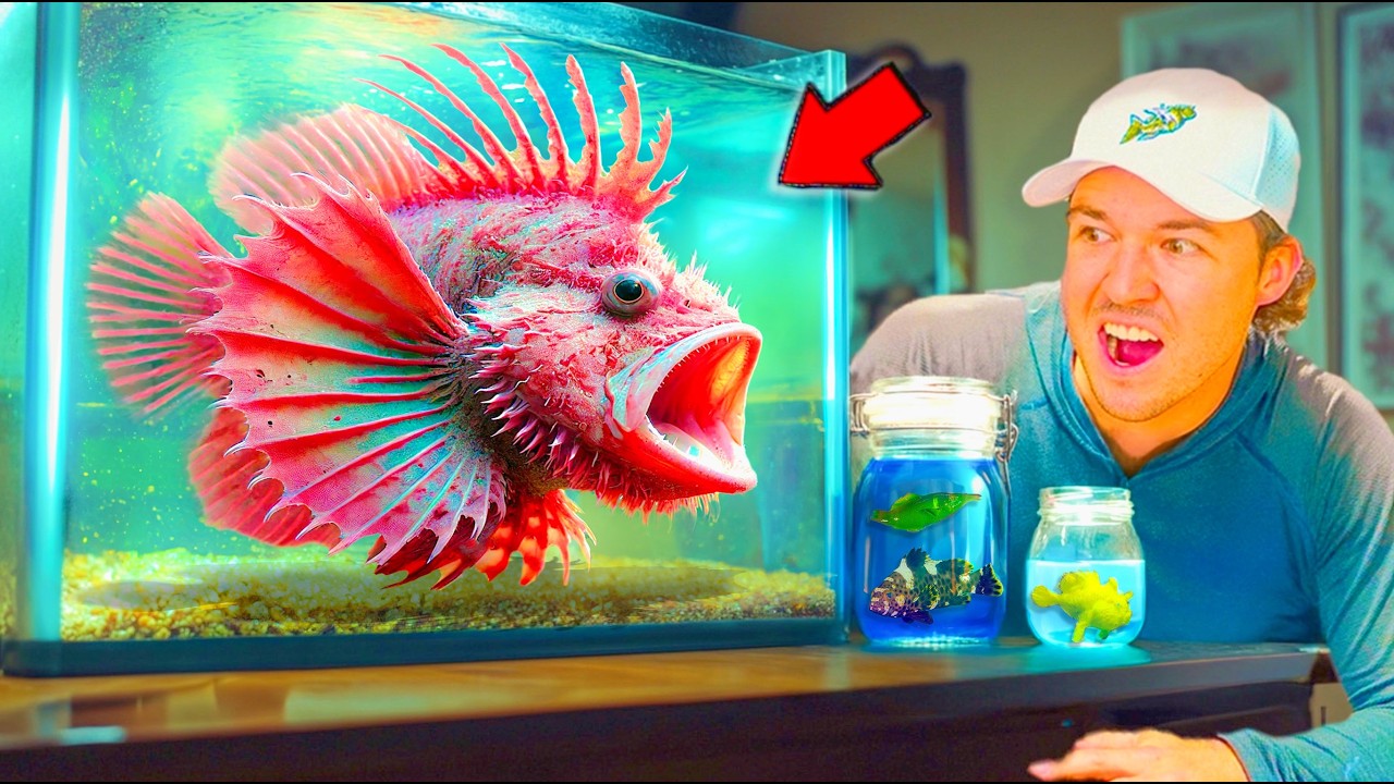 Buying Unusual Sea Creatures Off The Internet...