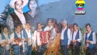 EL SOLITARIO,,GORRION ANDINO