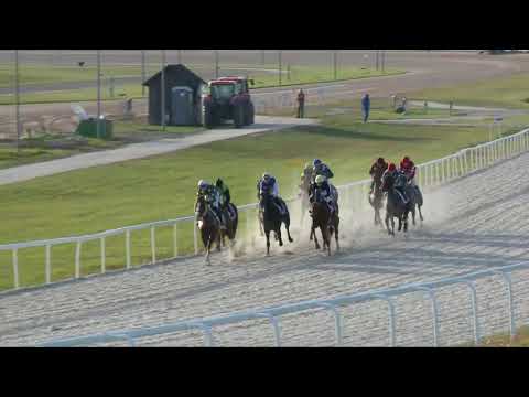 2017.10.15. 8. futam - LORD DERBY EMLÉKVERSENY HENDIKEP (IV.o.) (szintetikus pálya)