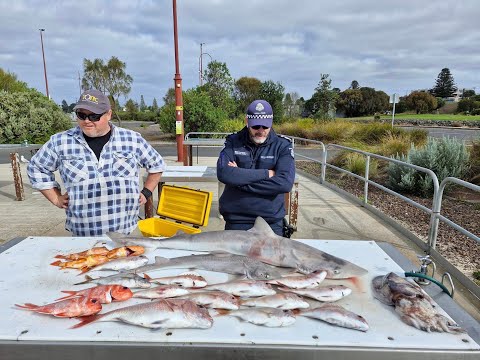 Hungry School sharks, Gummy shark and snapper action off Portland.
