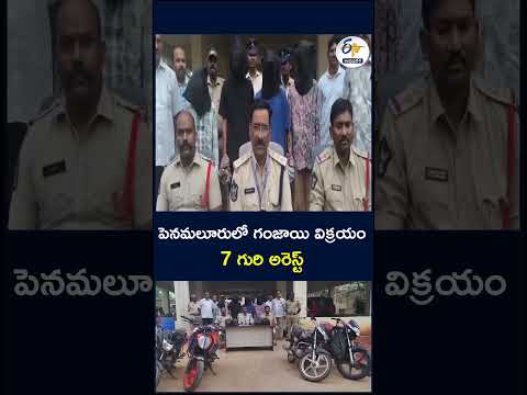 7 Drugsafety Arrest