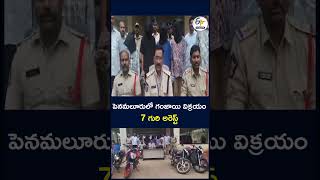 పెనమలూరులో గంజాయి విక్రయం 7 గురి అరెస్ట్  #drugsafety #arrest
