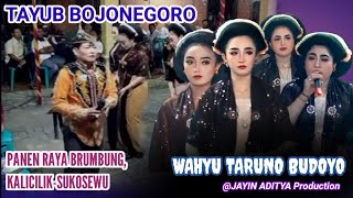 Download lagu SRAMPAT TAYUB BOJONEGORO | Tayub Panen Raya Brumbung Kalicilik mp3