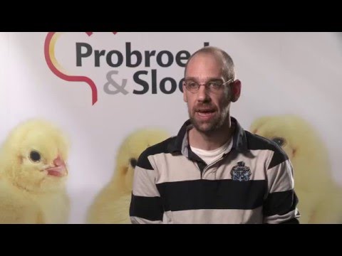 download lagu mp3 mp4 Probroed, download lagu Probroed gratis, unduh video klip Probroed