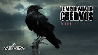 Acknes Alamillo - Temporada de Cuervos