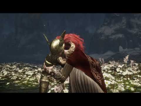 Wie Malenia besiegt wird, Mimic regelt - Elden Ring (easymode) Bosskampf