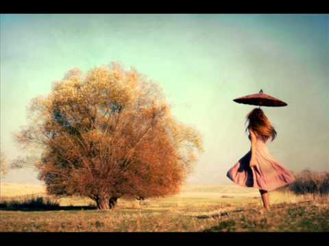 Leon Bolier -- ID [CDR] (StreamLined 064 -- 23.01.2012)