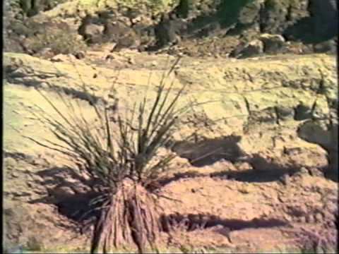 Prince Helfrich: Down the Wild Owyhee