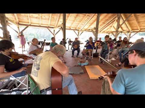 Oldtime fiddle banjo jam with cute dog in the middle - Kennedy Creek Festival