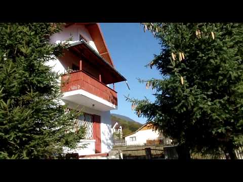 Casa de vacanta - Cheia, Prahova - Curte