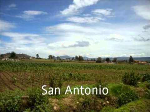 NADA GANO CON LLORAR