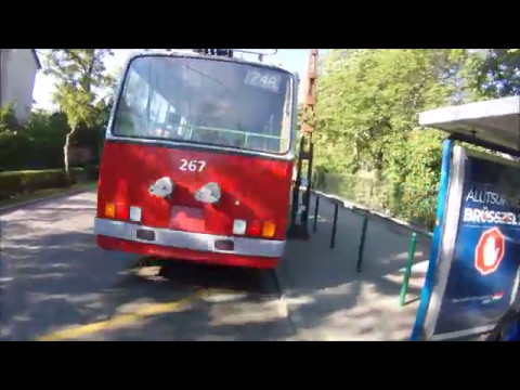 Trolit kerülni muszáj