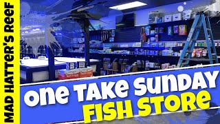 Fish Store Update | One Take Sunday!