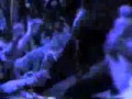 Danzig - Until you call on the dark