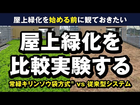 屋上緑化で失敗するリスクを減らす「常緑キリンソウ袋方式®」ガイアの夜明けで紹介されました。