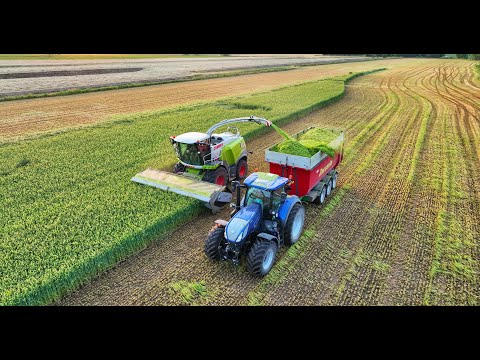 Trinciatura Orzo 2022 - Milani - Canneto sull'Oglio (MN)