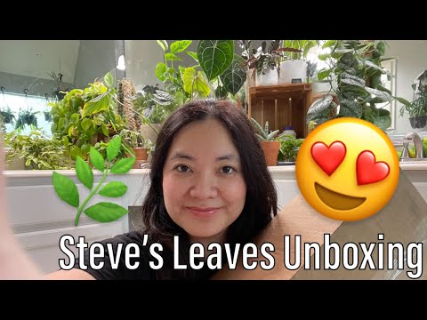 Steve’s Leaves Unboxing Wishlist Plants
