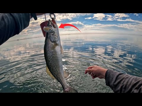 It’s Corky Time! Wade Fishing for Speckled Trout