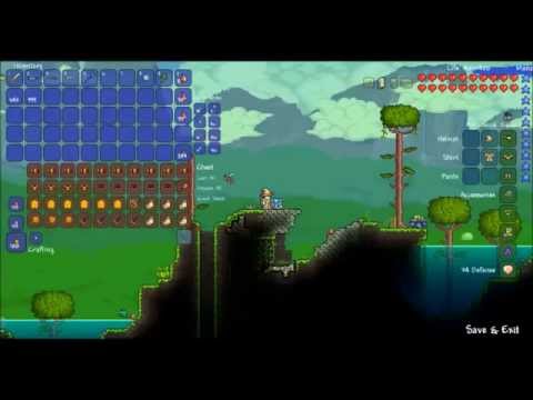 Terraria 20 queen bee loots