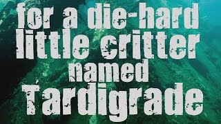 Nuestros Derechos: 04 - Tardigrade (Lyric Video, UHD/4K), taken from 'Adrift'