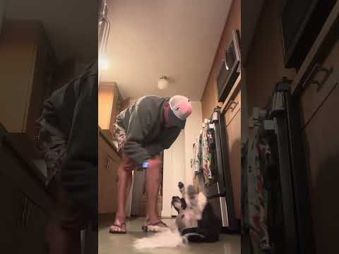 Mango & Jon Jon Dog Whisperer