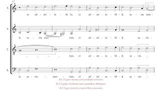 Victoria | O magnum mysterium [á 4; Voces8]