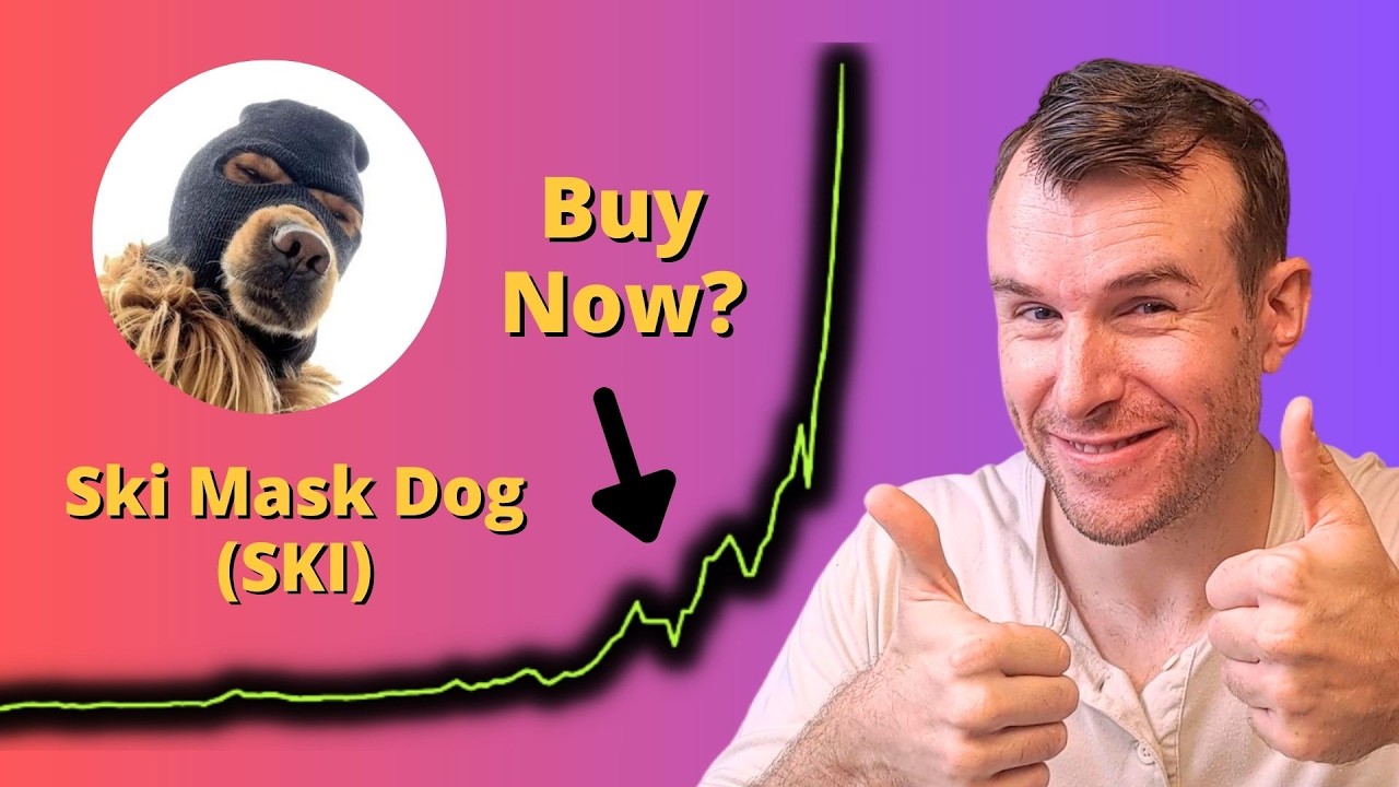 Why Ski Mask Dog Is Up... 🤩 SKI Crypto Token Analysis