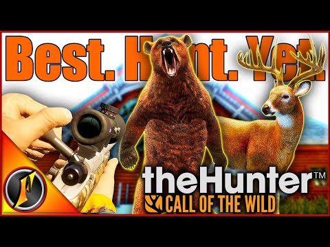 Our BEST Trophy Cabin Hunt YET! | RARE Black Bear + Diamond Whitetail!